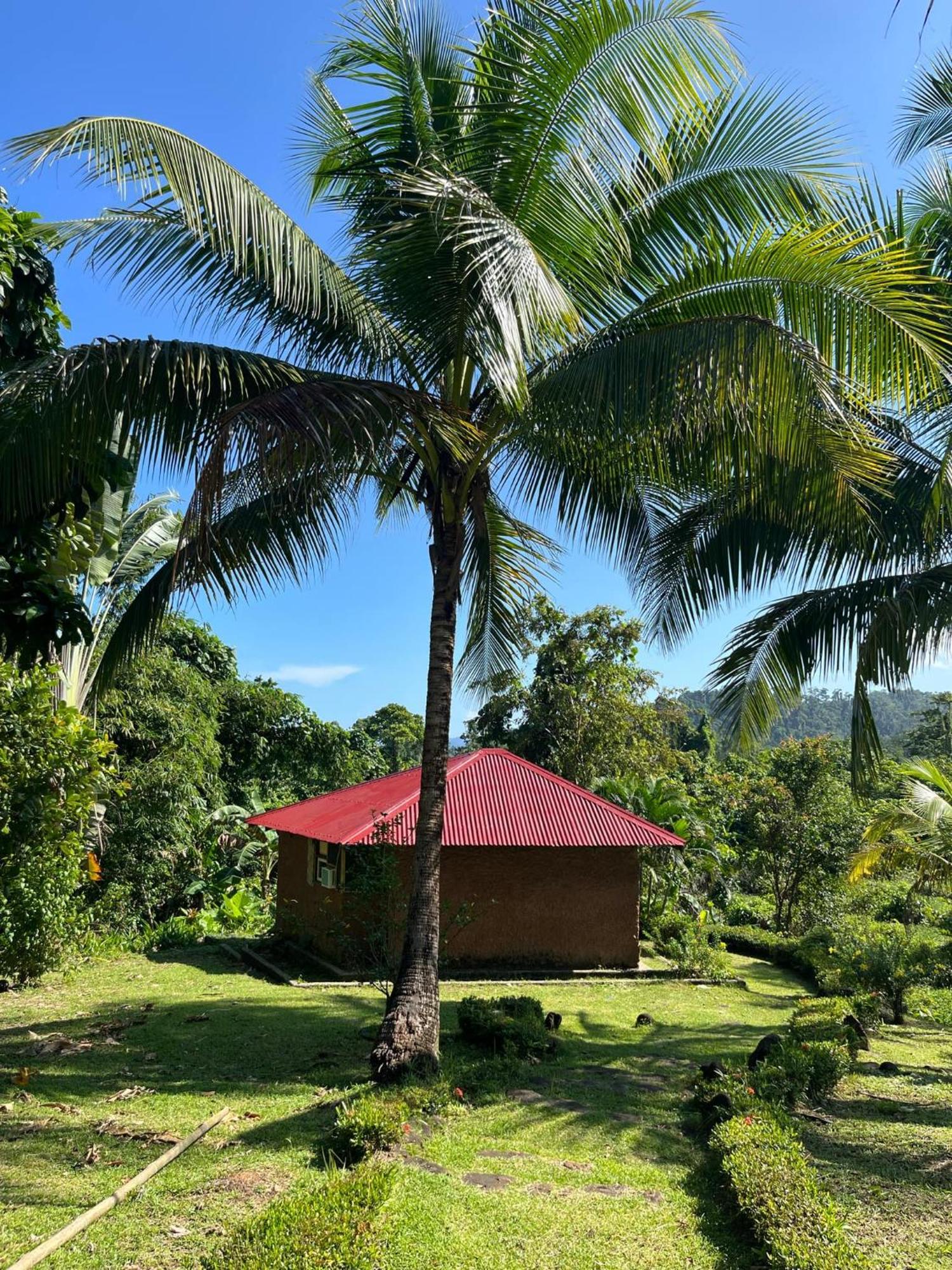 Bambua Nature Cottages Sabang  Pokój zdjęcie