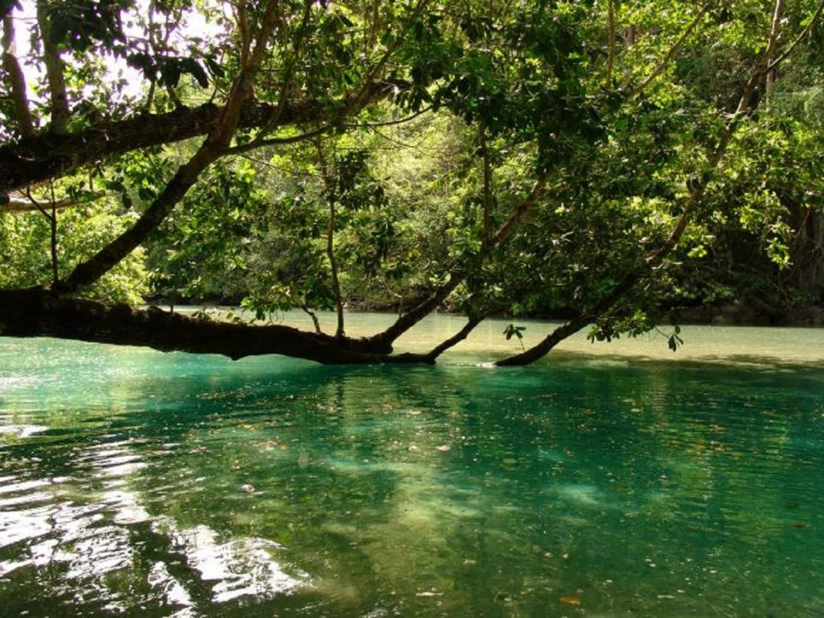 Bambua Nature Cottages Sabang  Zewnętrze zdjęcie